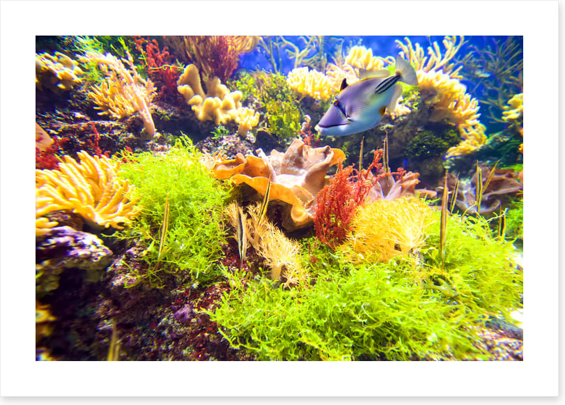 Underwater