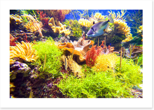 Underwater