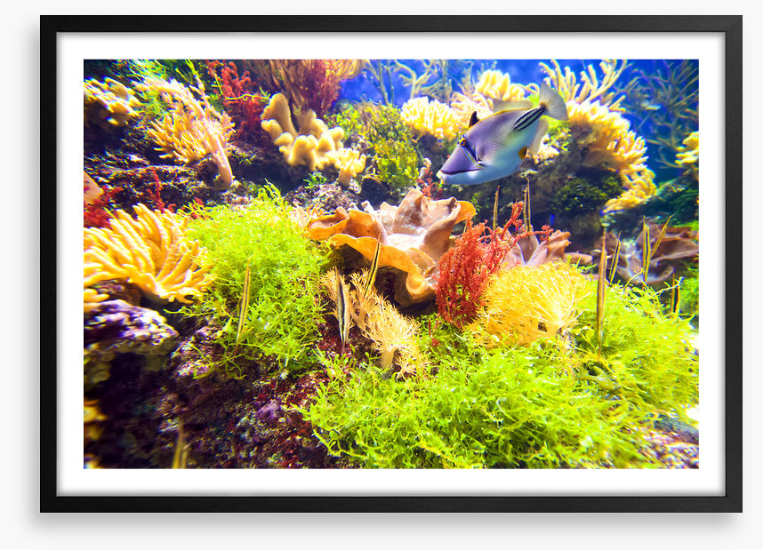 Underwater