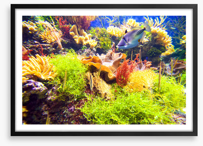 Underwater