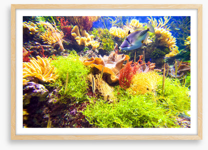 Underwater