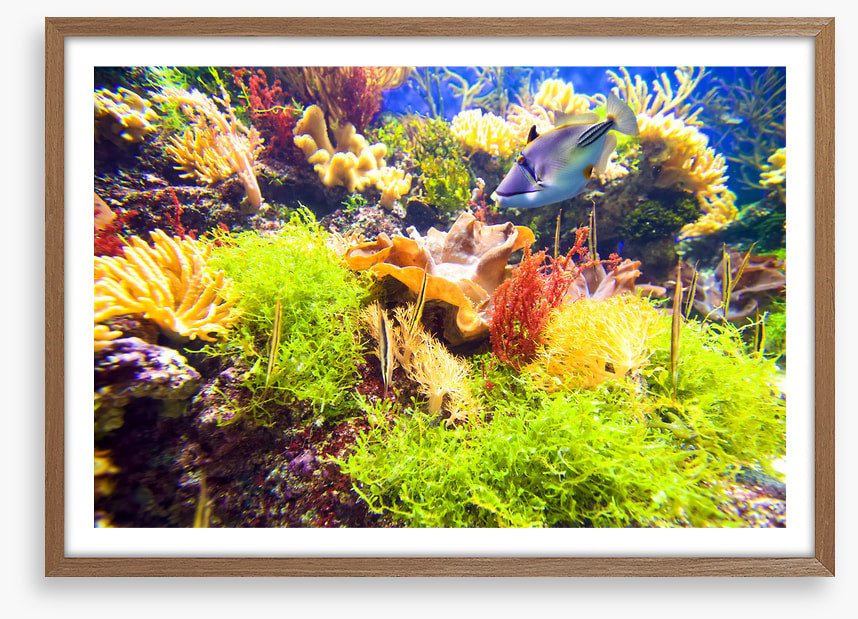 Underwater