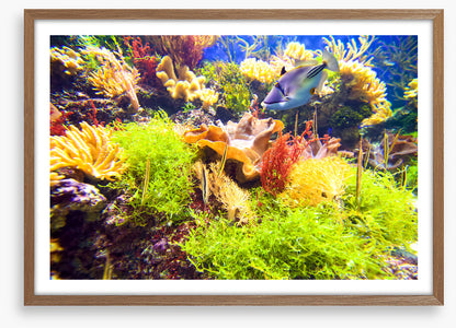 Underwater