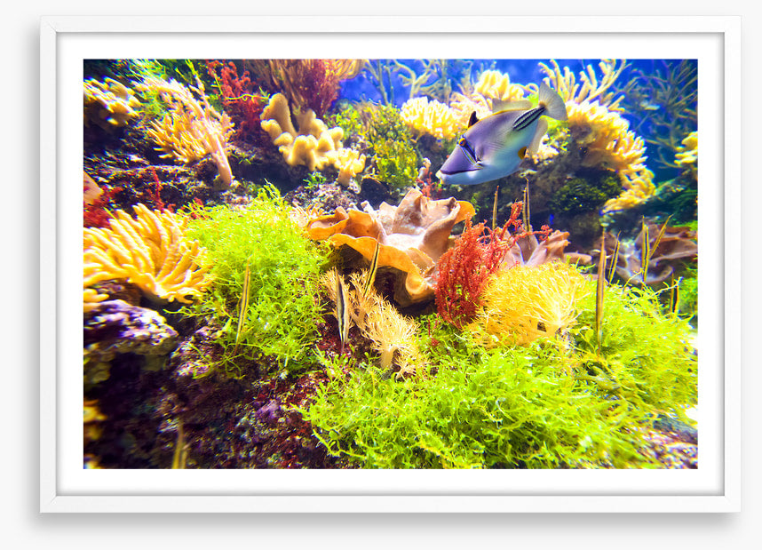 Underwater
