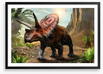 Torosaurus stare