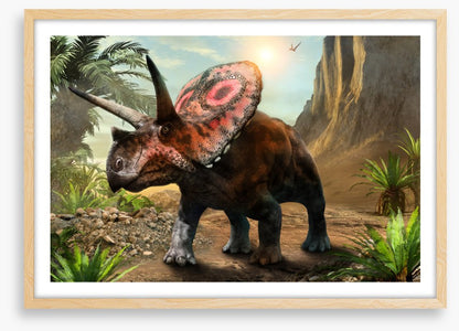 Torosaurus stare