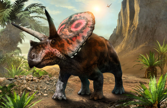 Torosaurus stare