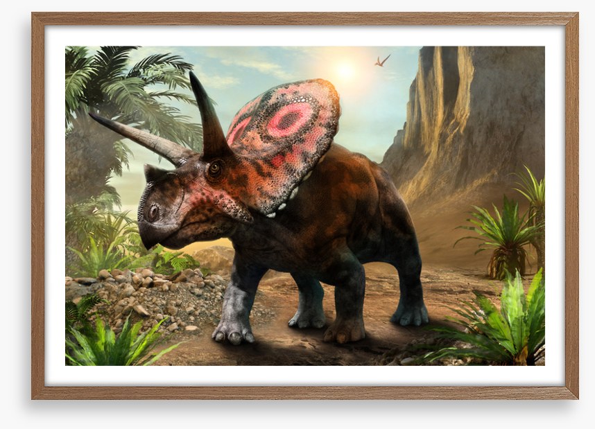 Torosaurus stare