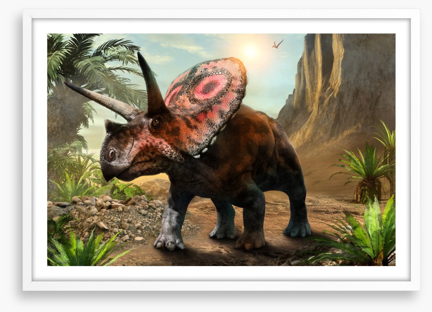 Torosaurus stare