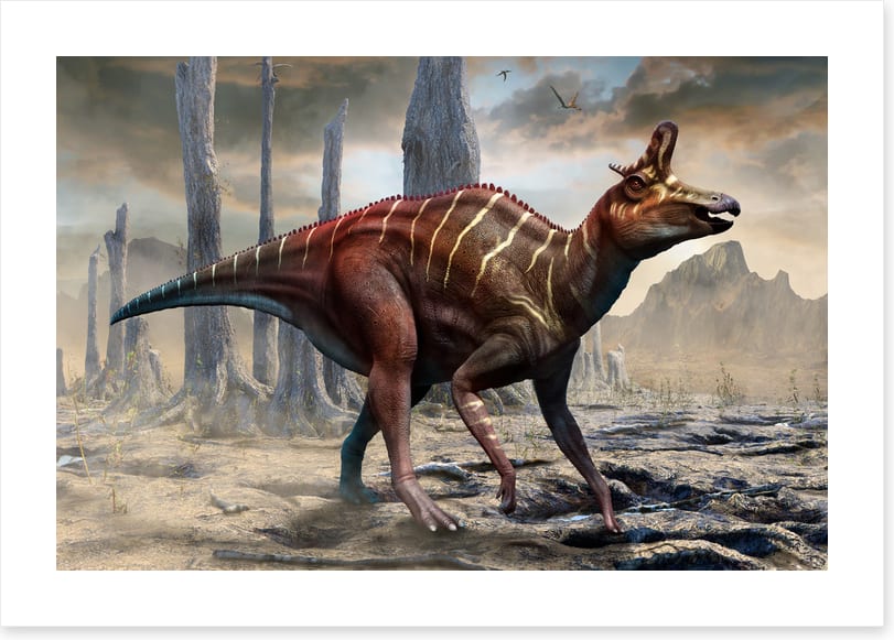 Dinosaurs