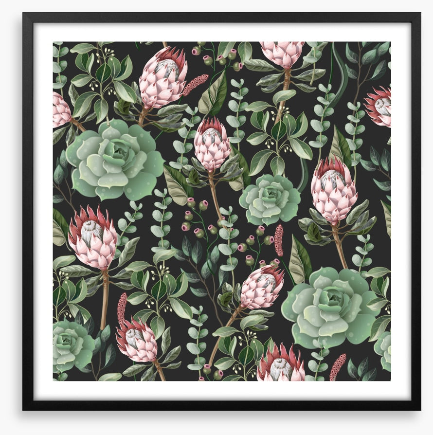 Pink protea leaves