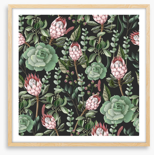 Pink protea leaves