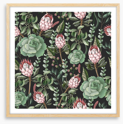 Pink protea leaves