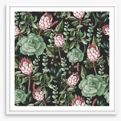 Pink protea leaves