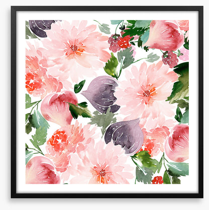 Figgy flowers