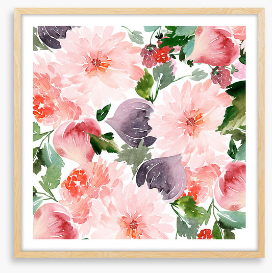 Figgy flowers