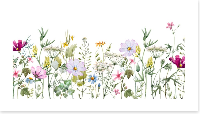 Meadow medley