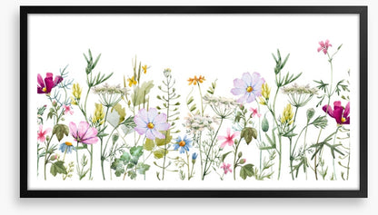 Meadow medley