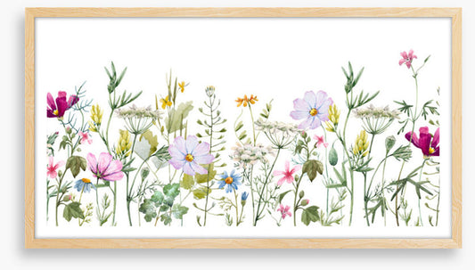 Meadow medley