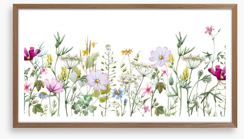 Meadow medley