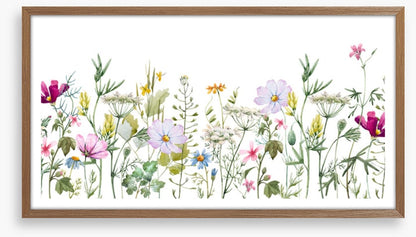 Meadow medley