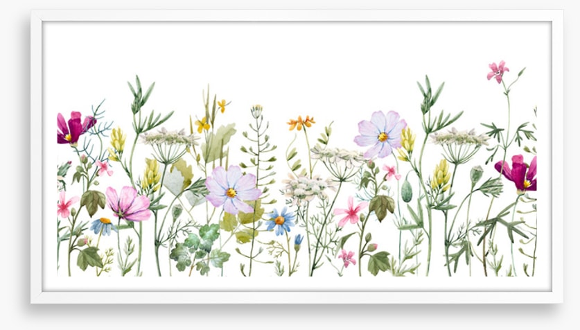 Meadow medley
