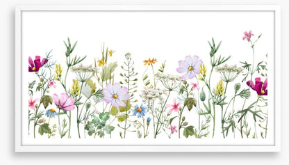 Meadow medley