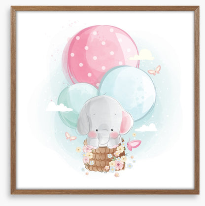 Elephants