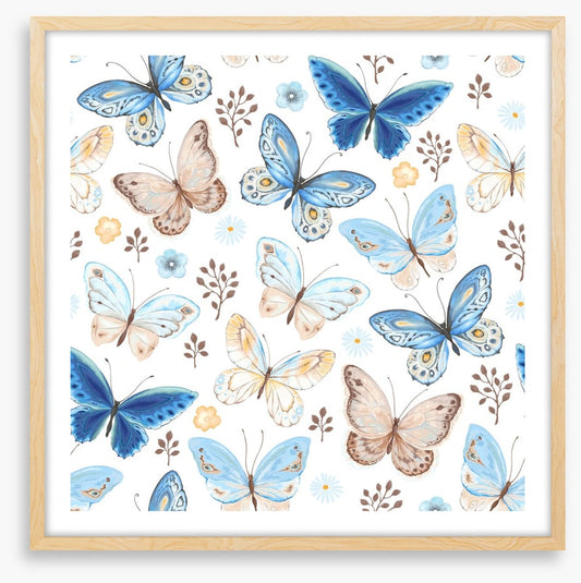Butterfly bliss