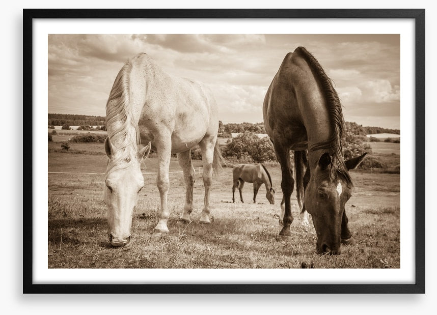 Graceful grazing