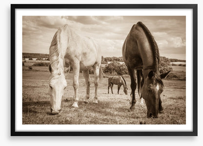 Graceful grazing