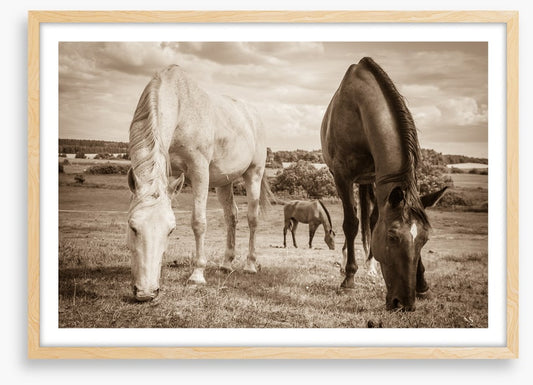 Graceful grazing