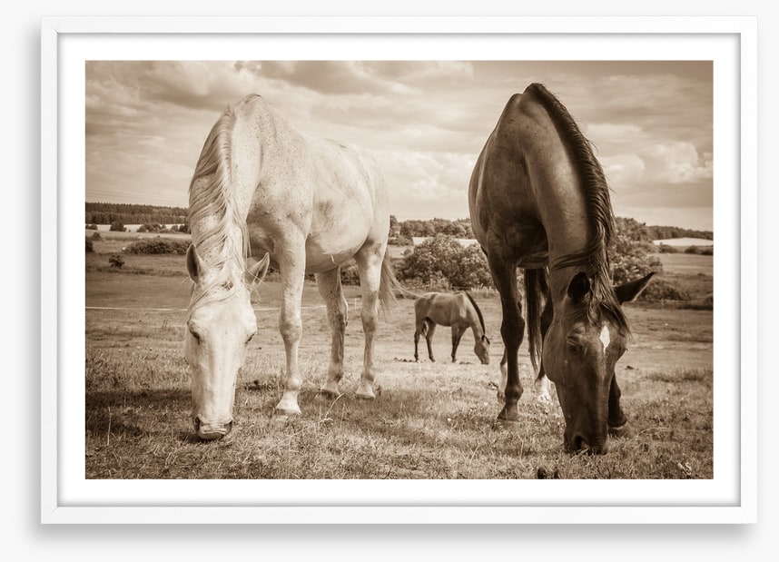Graceful grazing