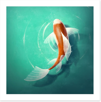 Carp in the pond