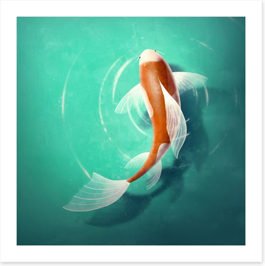 Carp in the pond