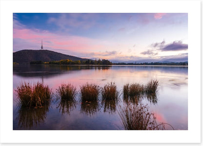 Calm in Canberra