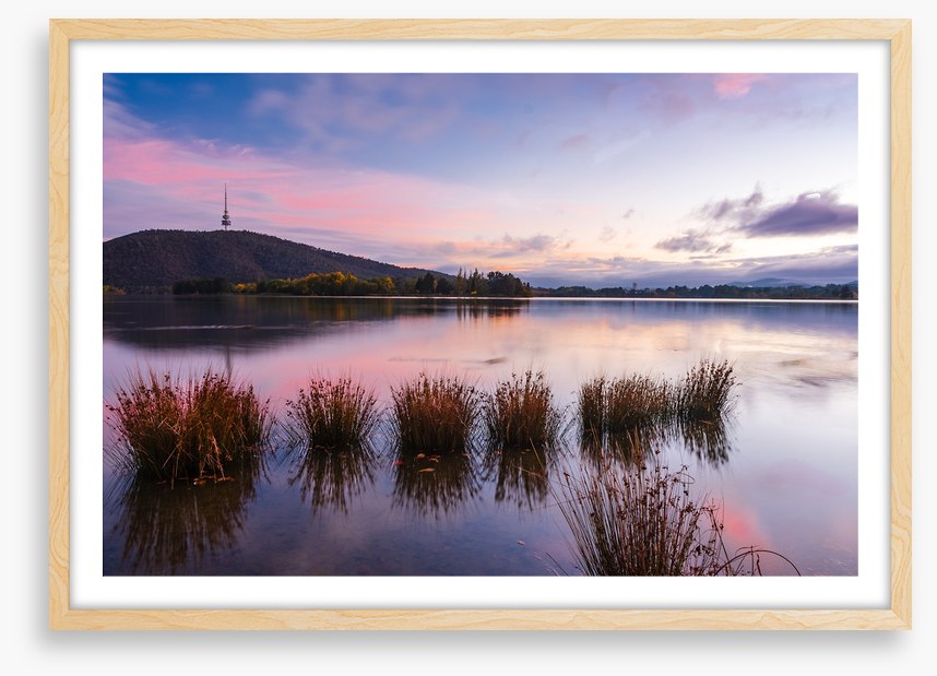 Calm in Canberra
