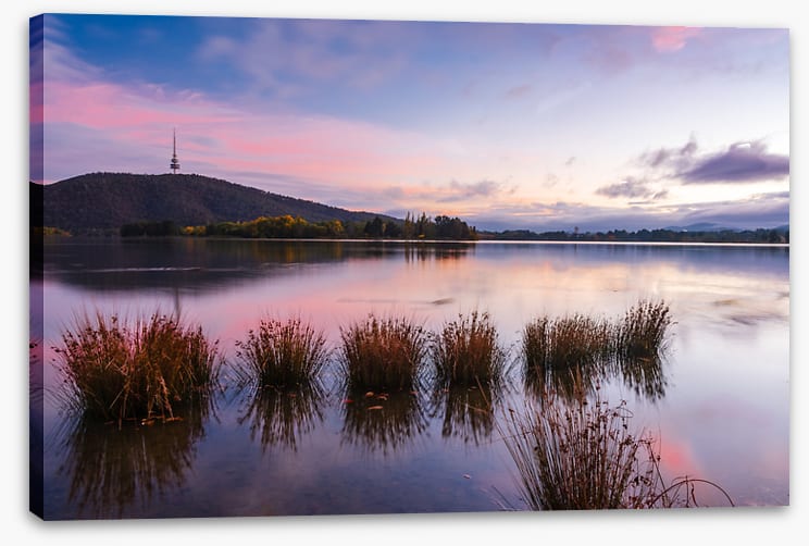 Calm in Canberra