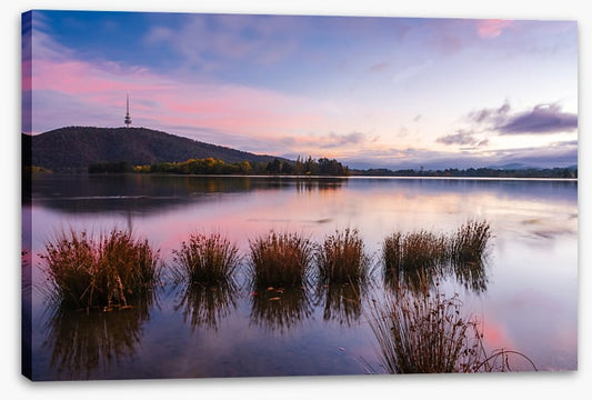 Calm in Canberra