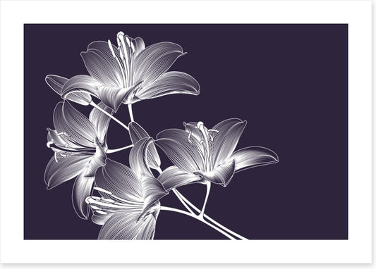 Moonlight lilies