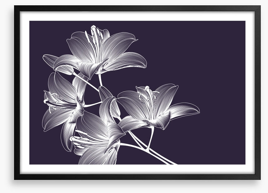 Moonlight lilies