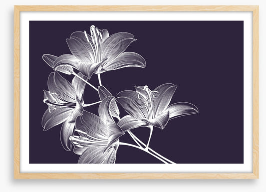 Moonlight lilies
