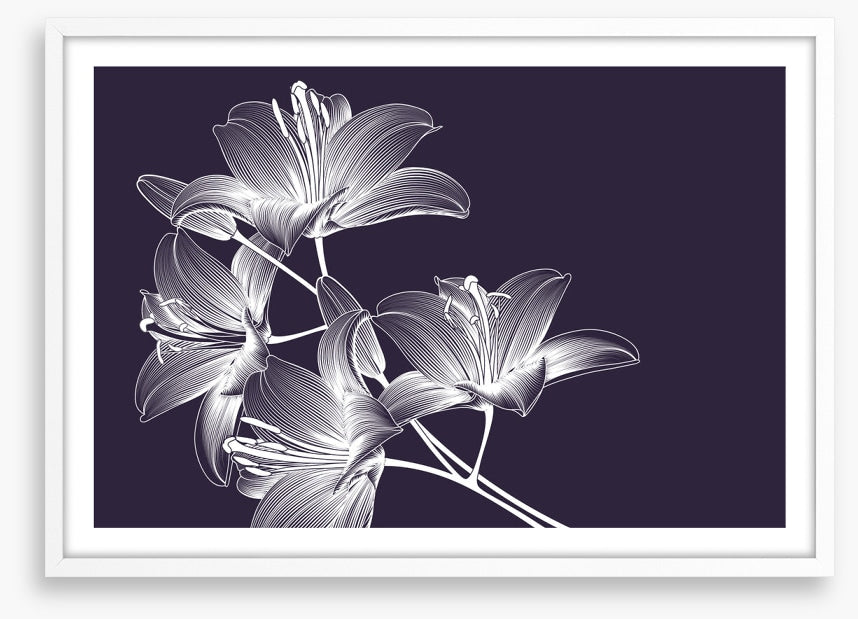 Moonlight lilies