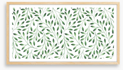 Eucalyptus breeze