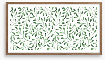 Eucalyptus breeze