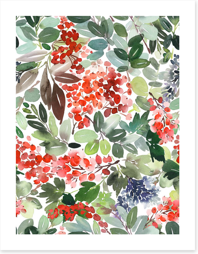 Berries and spruce