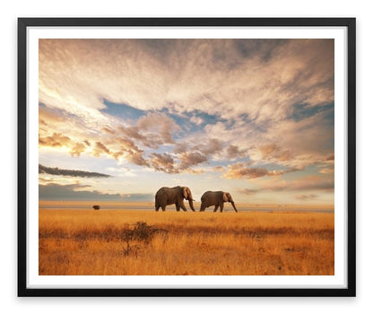 Safari for two