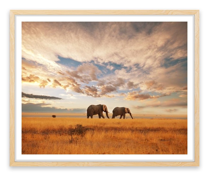 Safari for two