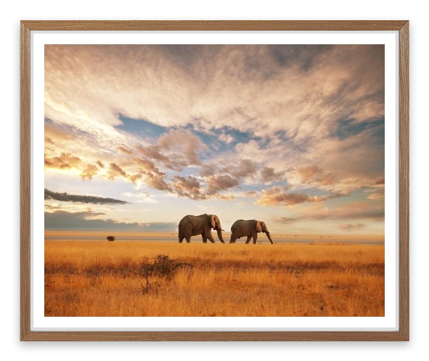 Safari for two