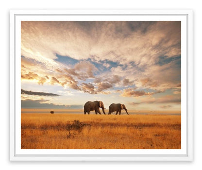 Safari for two